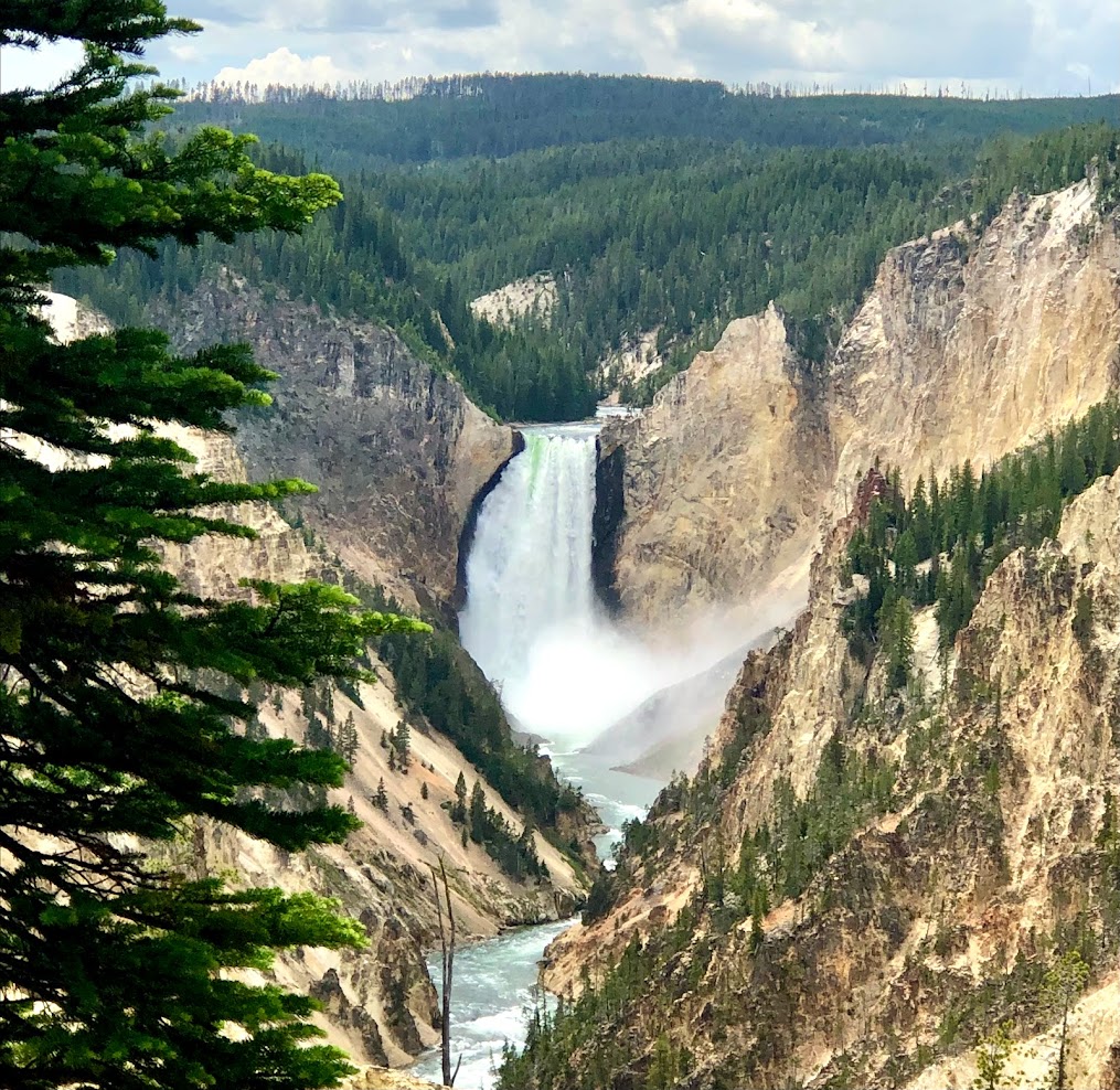 Yellowstone Falls Yellowstone Falls